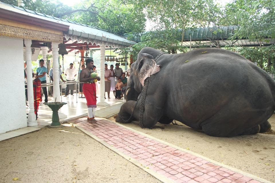 Morannawaththa Dewalaya Sacred Shrine